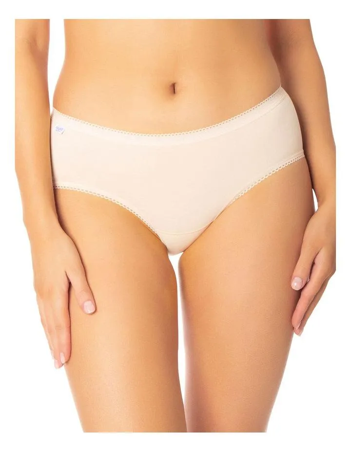 2 Pack - Midi Brief