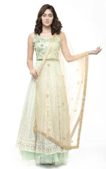 A R Silk Women's Net Net Chandna Handwork With Moti Laish Golden Fancy Dupatta