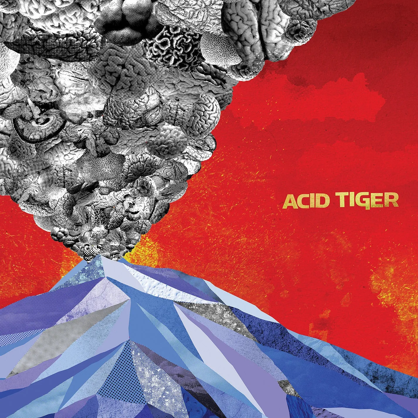 Acid Tiger "Self Titled"