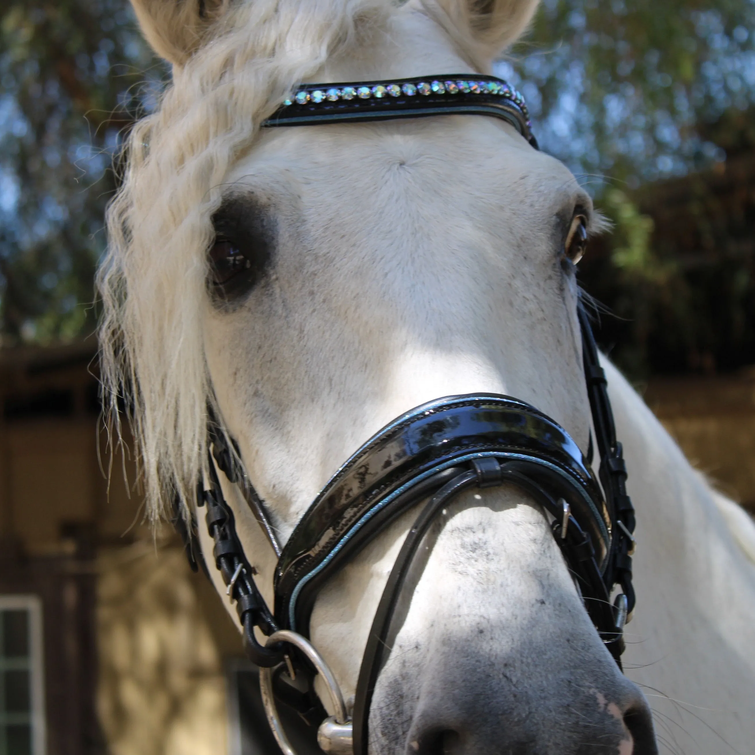 Adriana - Black Patent Blue Sparkle Snaffle Bridle