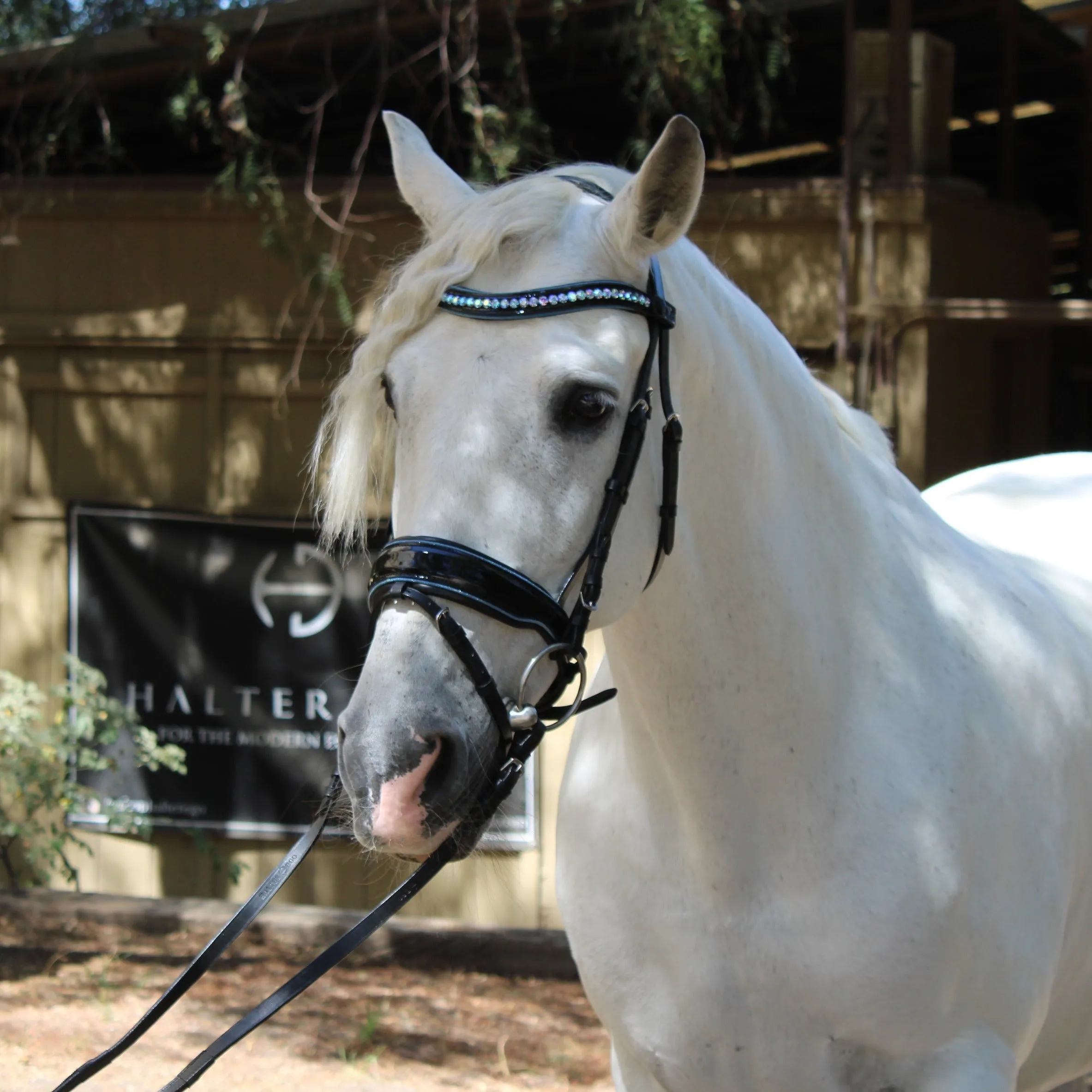 Adriana - Black Patent Blue Sparkle Snaffle Bridle