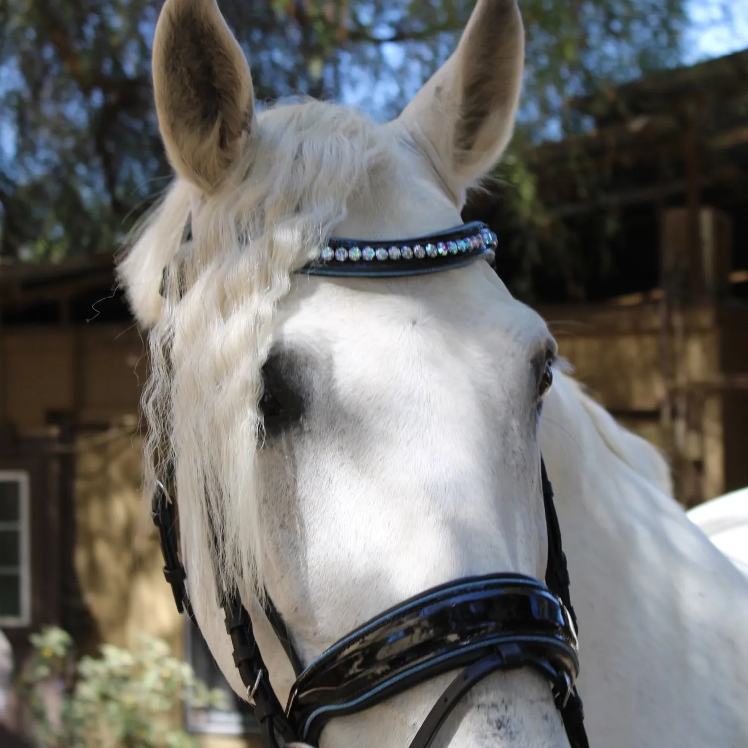 Adriana - Black Patent Blue Sparkle Snaffle Bridle