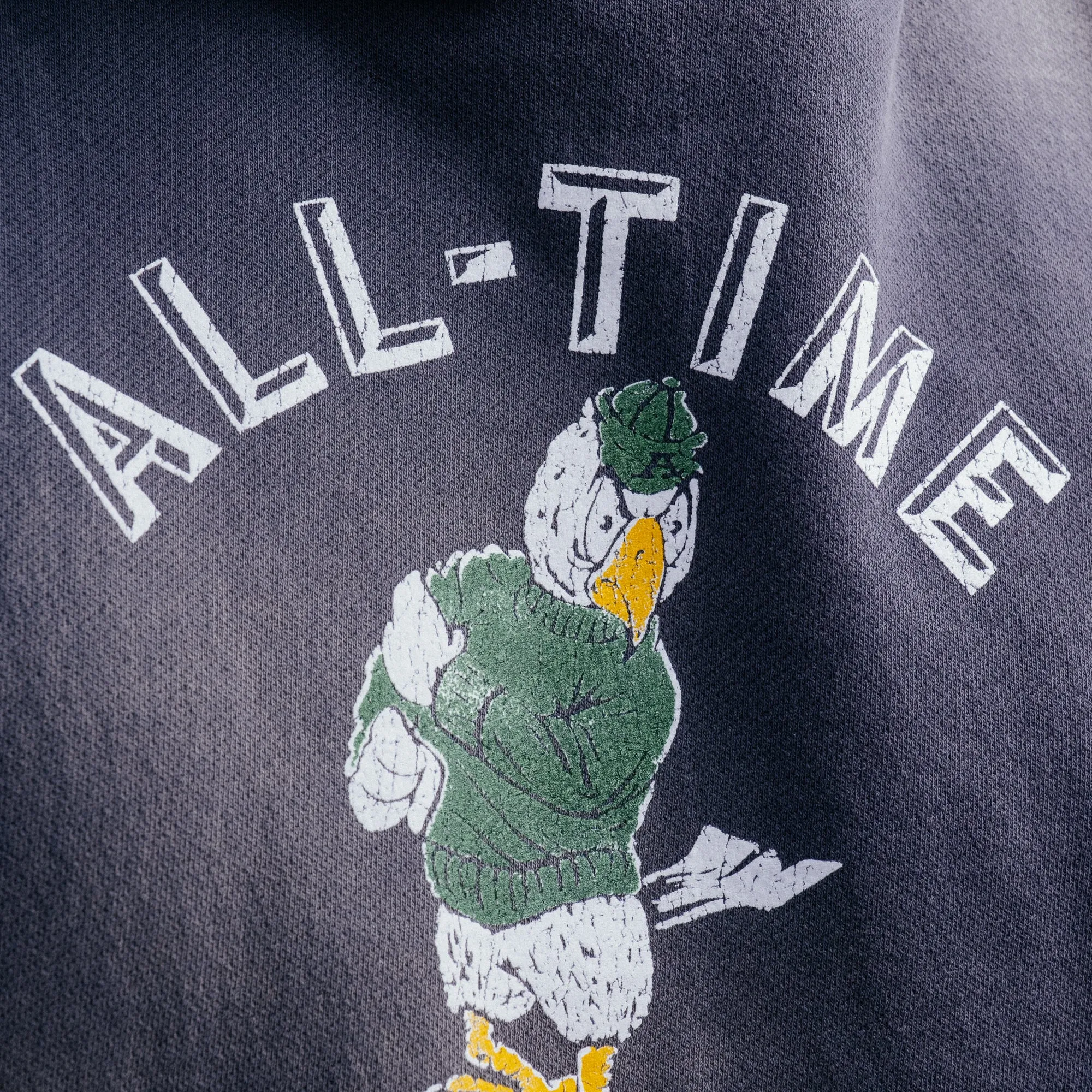 All-Time High Flocked Eagle Hoodie Cadet Blue