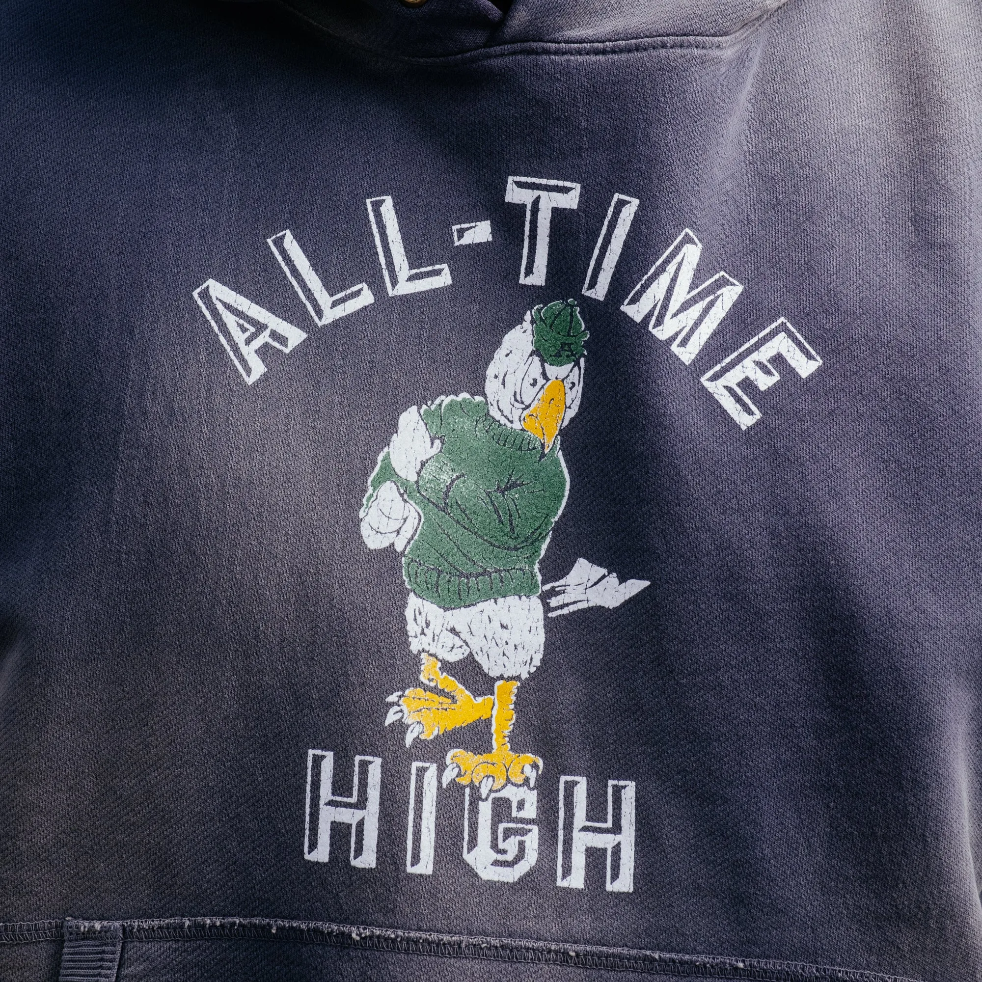 All-Time High Flocked Eagle Hoodie Cadet Blue