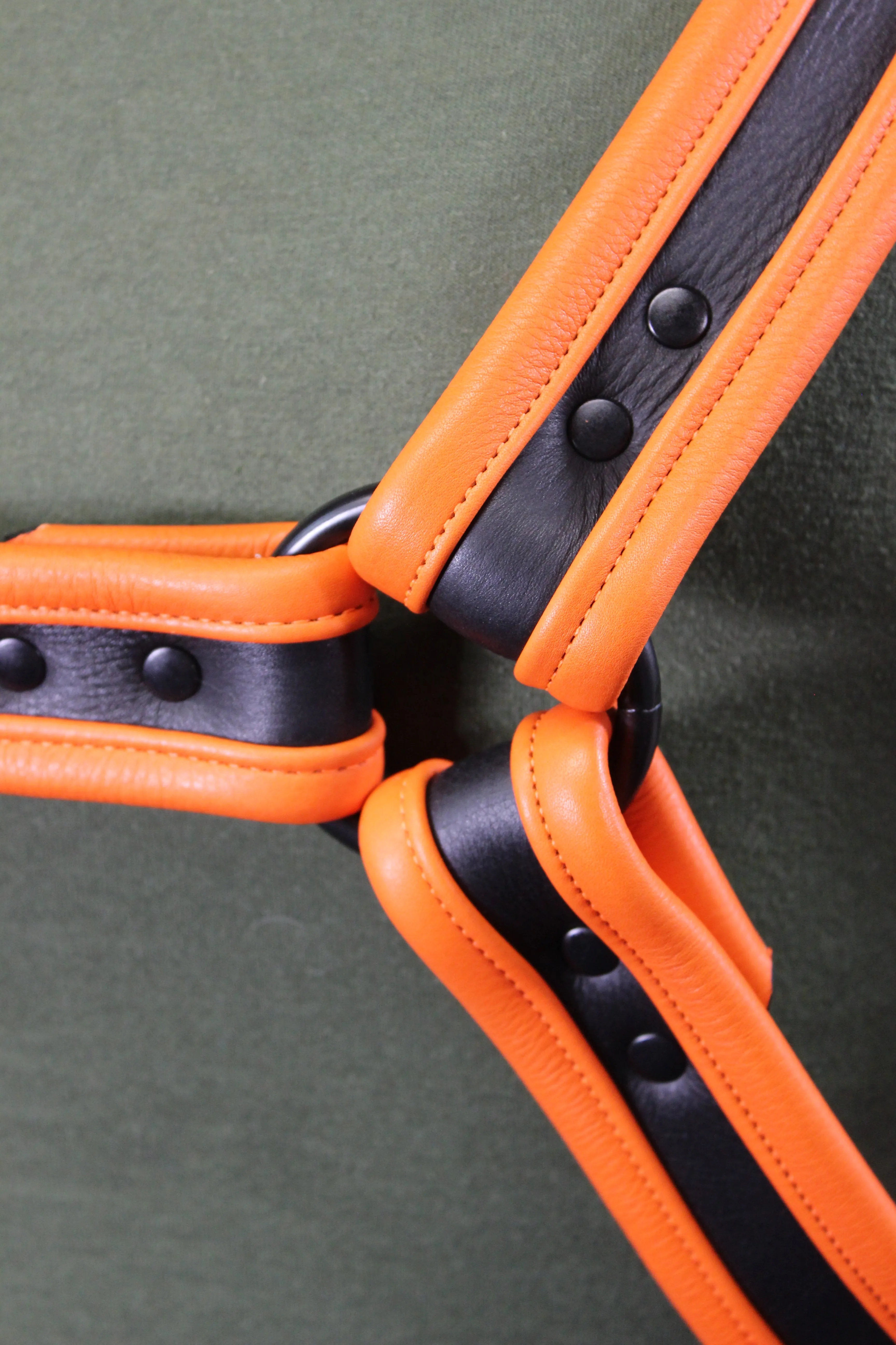 Black and Orange Bulldog Harness - Our Softest Leather!