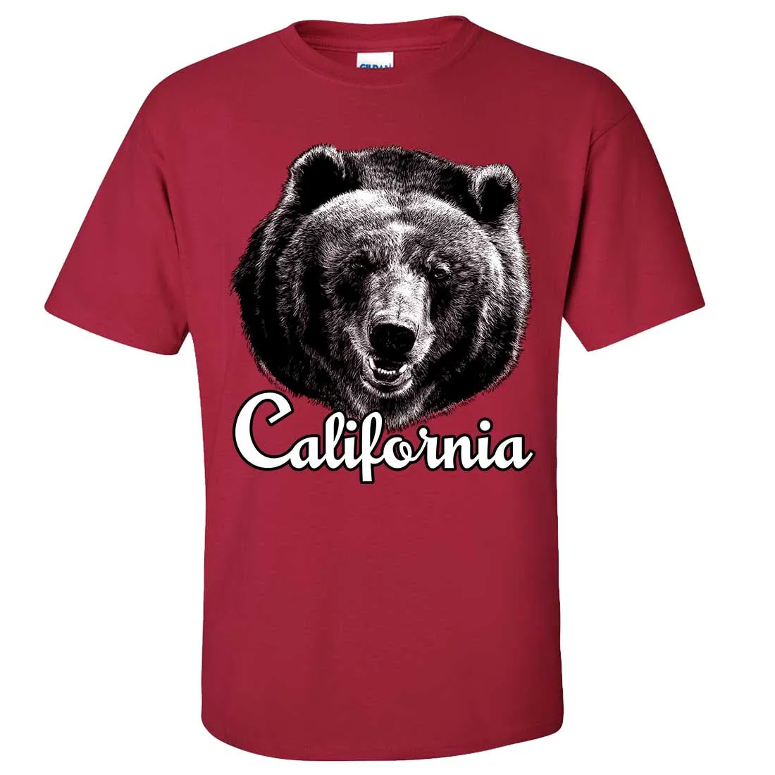 California Grizzly Bear Asst Colors T-shirt/tee