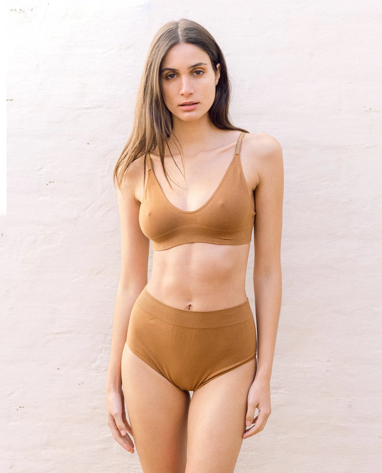 Endija Organic Cotton High Waisted Briefs In Tan