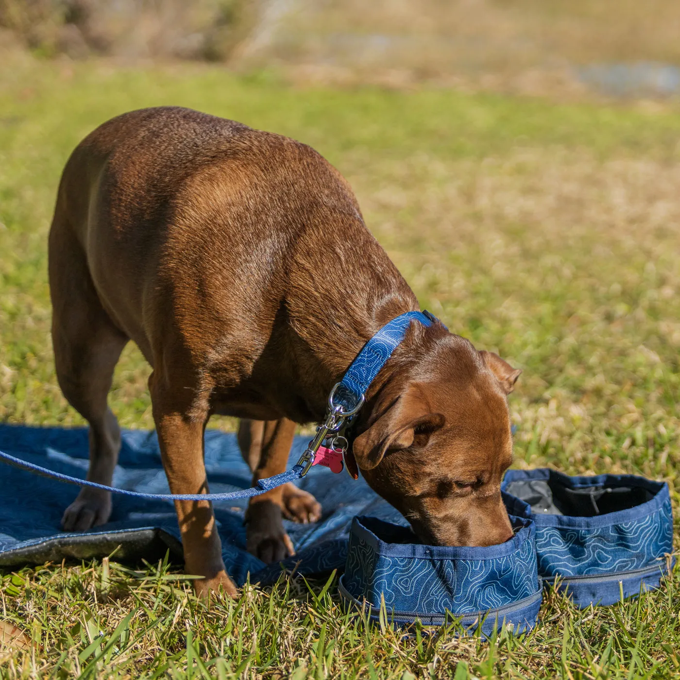 Ford Bronco Topographical Collapsible Pet Water Bowl