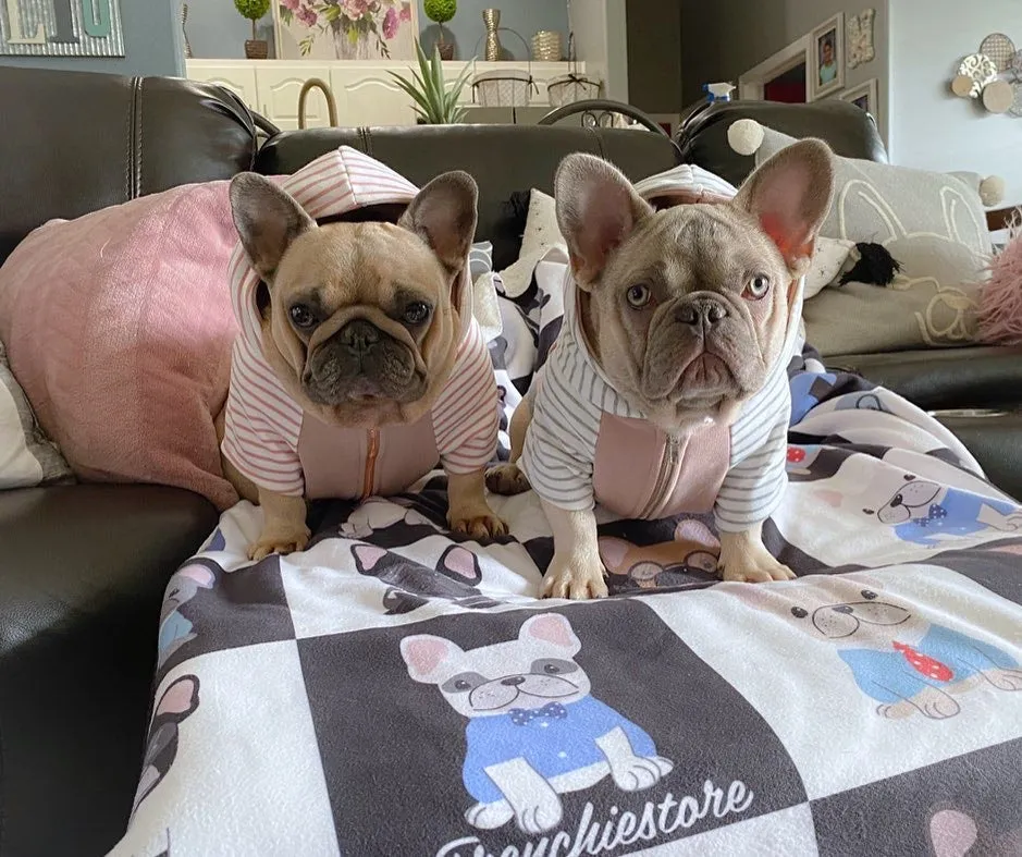 Frenchie Blanket | Preppy French Bulldogs on Black & White