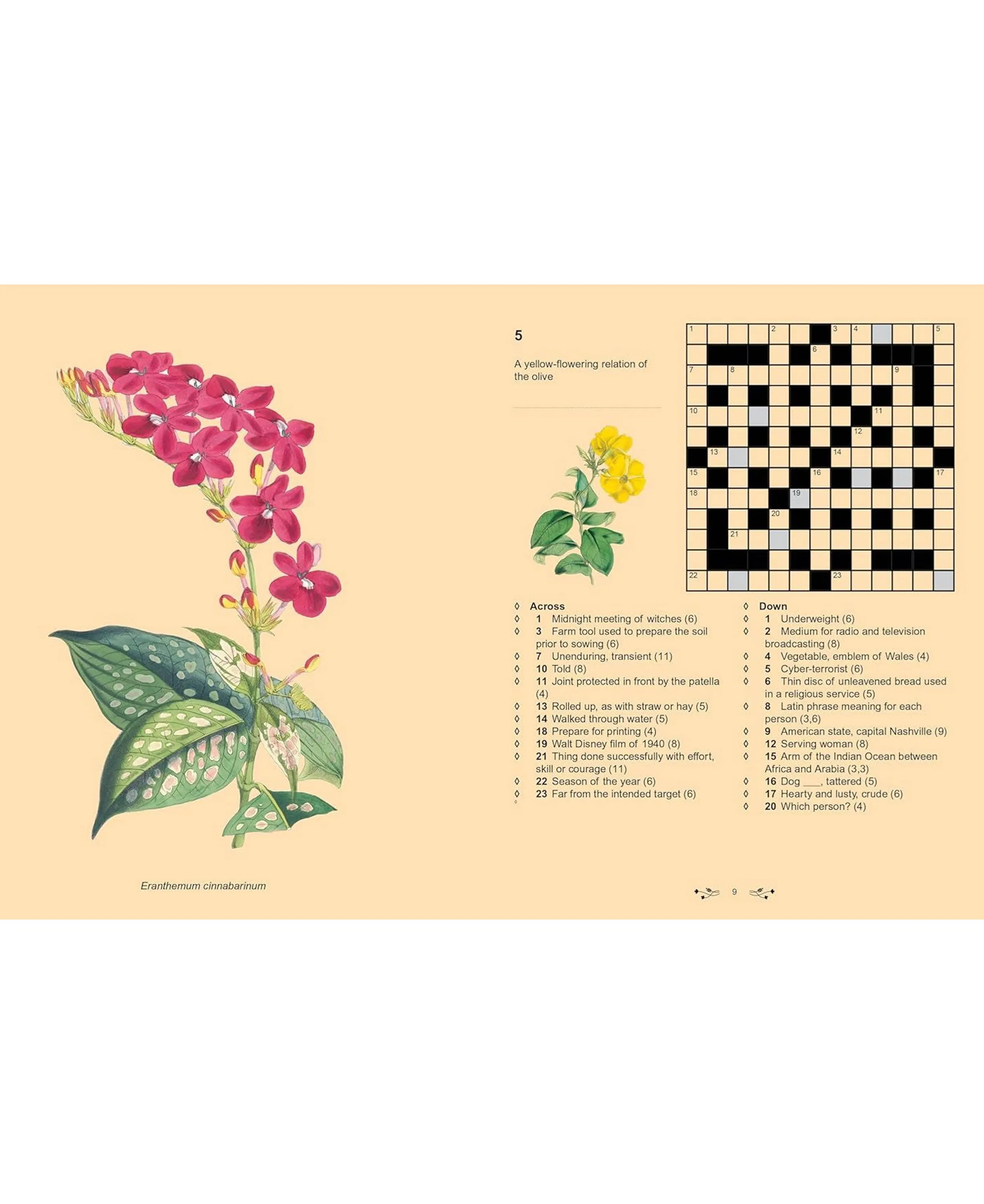 Kew Gardens Crosswords