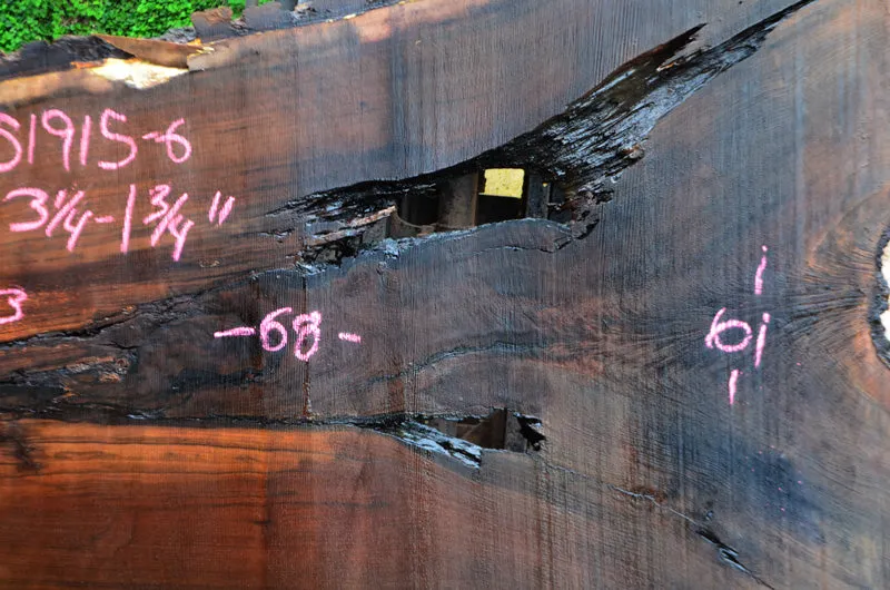 Oregon Black Walnut Slab 051915-06